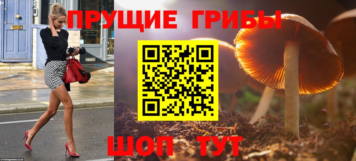 Лесосибирск  Псилоцибиновые грибы MAGIC MUSHROOMS  Вход с VPN 