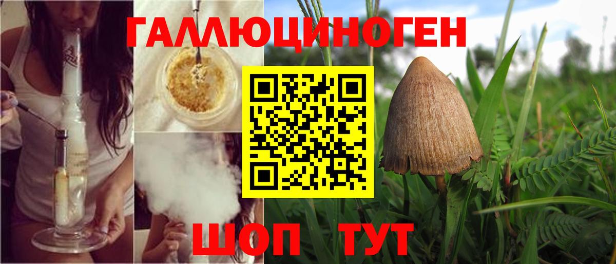 Псилоцибиновые грибы MAGIC MUSHROOMS Лесосибирск