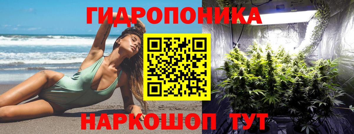 Лесосибирск  Шишки марихуана тримм  Вход с VPN  Бошки марихуана индика  Каннабис MAZAR  Каннабис White Widow 